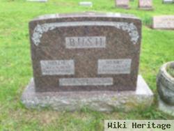 Henry Bush