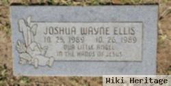 Joshua Wayne Ellis