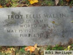 Troy Ellis Wallin