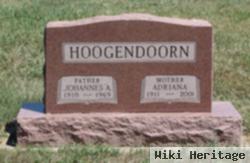 Johannes Arie "joe" Hoogendoorn