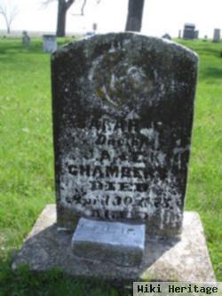 Sarah E. Chambers