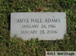 Amye Hall Adams