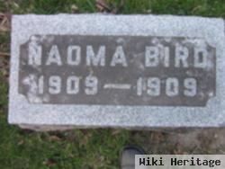 Naoma Bird