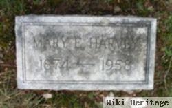 Mary Ellen Harvey