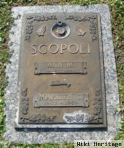 Ann M Scopoli