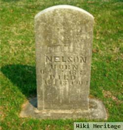 Newton Nelson