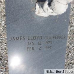 James Lloyd Culpepper