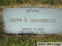 Olive Ann Woodward Chamberlin