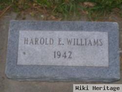 Harold E Williams