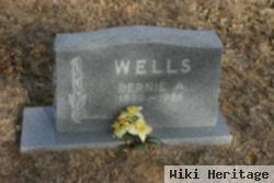 Bernie Allison Wells