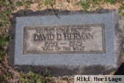 David D. Herman