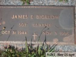 James Edward Bigelow, Sr