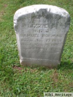 Lizzie Swartley Johnson Horning