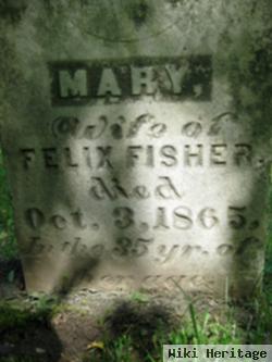 Mary Hamsburg Fisher