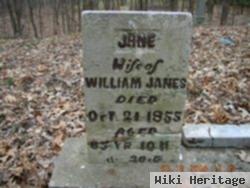 Jane Nichols Janes