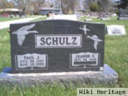 Paul J Schulz