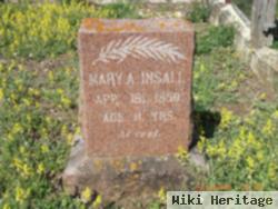 Mary Ann Insall