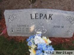 Lloyd C Lepak