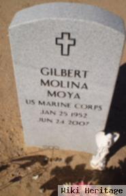 Gilbert Molina Moya