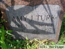 Amy J Turk