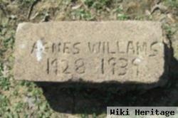 Agnes Williams