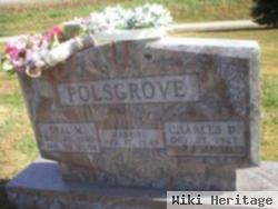 Opal M. Polsgrove