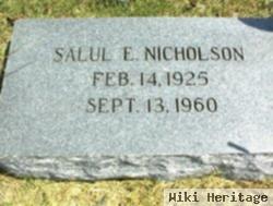 Salul E Nicholson