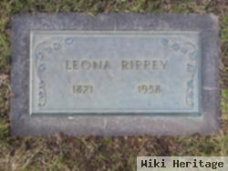 Rachel Leona Ackley Rippey