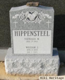 William J Hippensteel