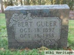 Bert Guler