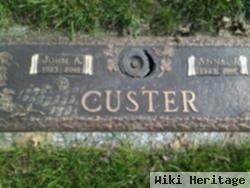 Anna J Custer