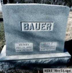 Henry Bauer