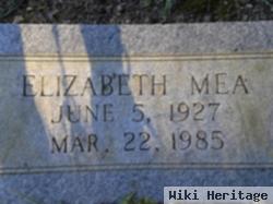 Amanda Elizabeth "lizzie" Mea