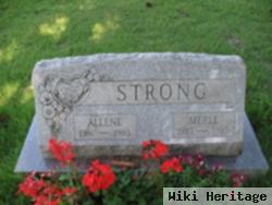 Allene D. Tyger Strong