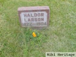 Haldor Larson