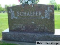 Leonard M Schaefer