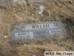 James T Walsh