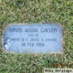 David Wood Gibson