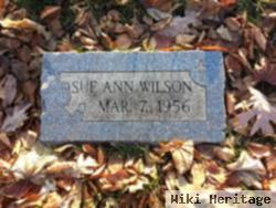 Sue Ann Wilson