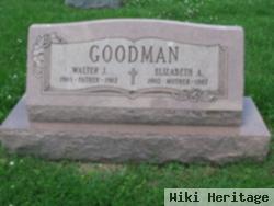 Walter J Goodman