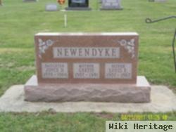 Joyce D Newendyke