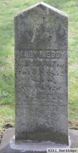 Mary R Eddy