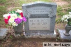 Hettie Diggs Johnson