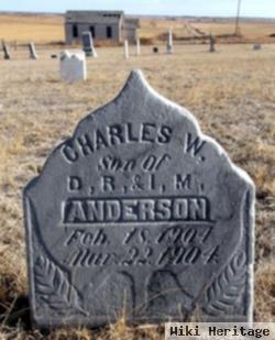 Charles W Anderson