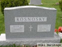 Theodore F Kosnosky