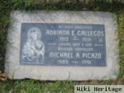 Michael A Picazo