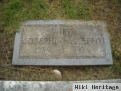 Josephine Riley Leppo