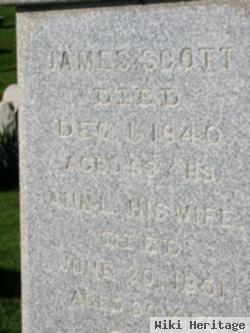 Ann L Scott