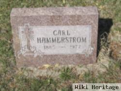 Carl L Hammerstrom