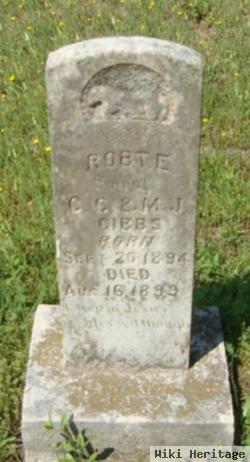 Robert E. Gibbs